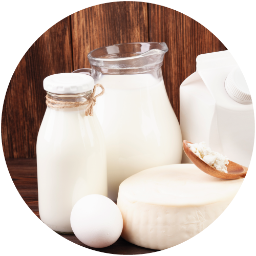 formaggi-.-latticini